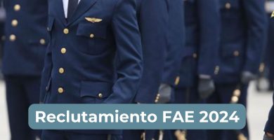 fae reclutamiento 2024