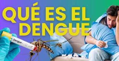 que es el dengue informacion