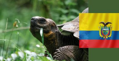 por que ecuador es biodiverso