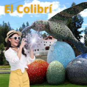 el colibri sangolqui
