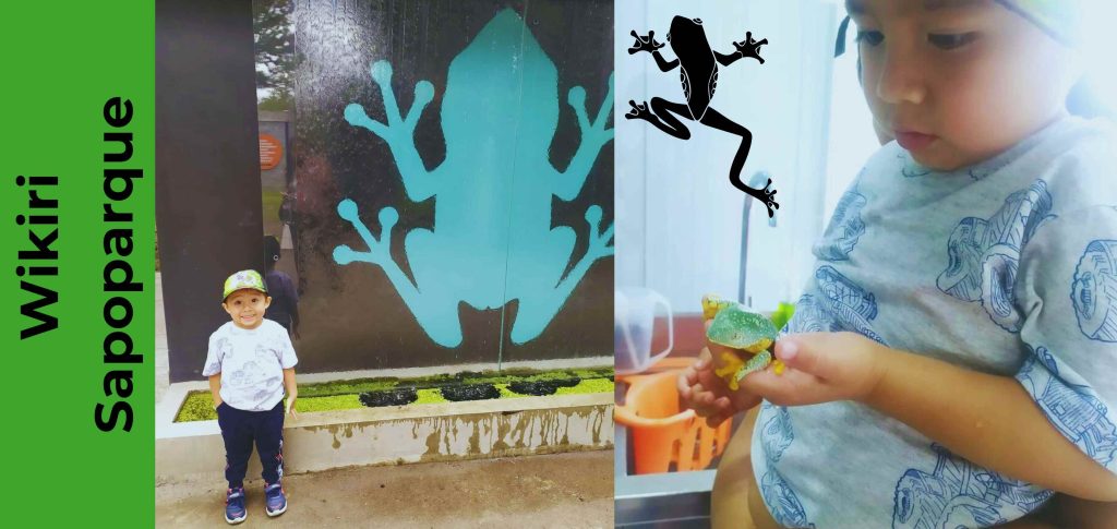 Espacios recreativos para familias en el Valle de los Chillos