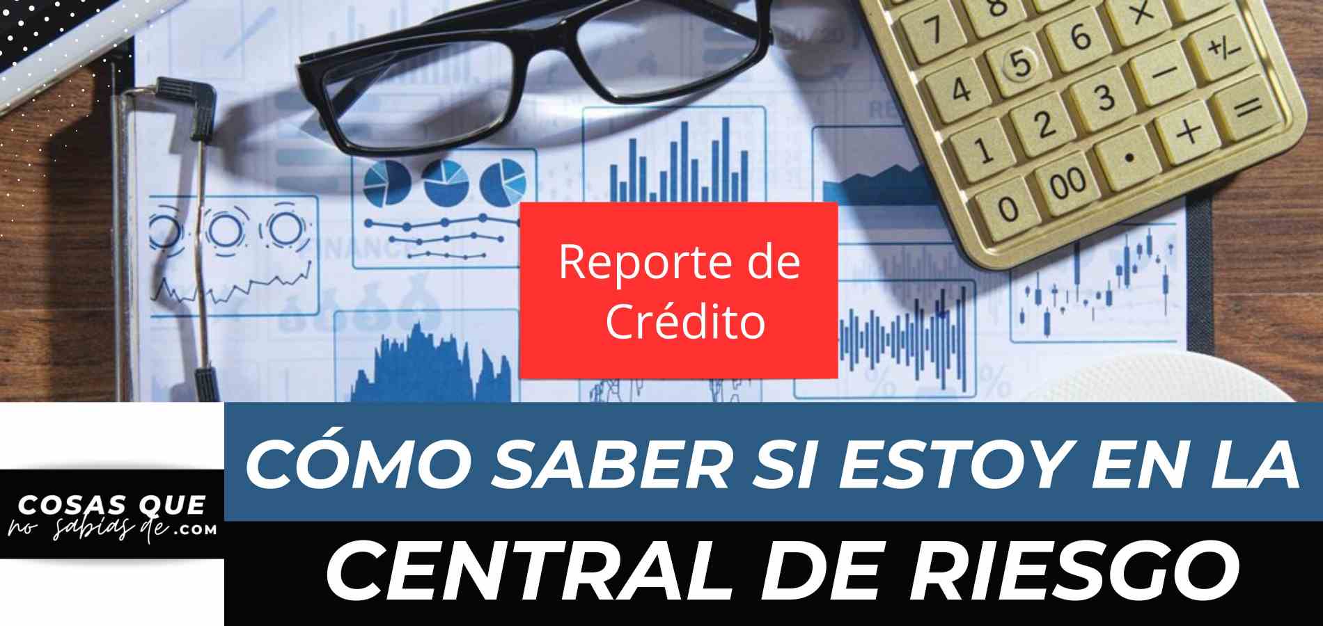 ¿Cómo saber si estoy en la central de riesgo Ecuador? 2024