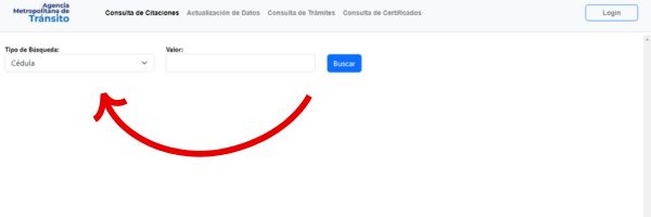 consultar multas de amt pico y placa