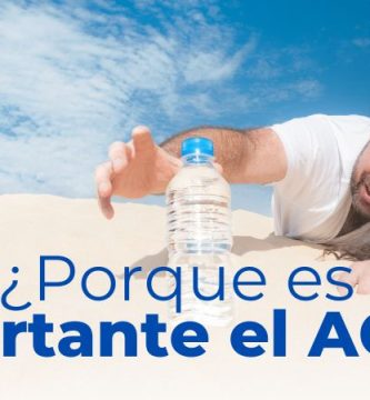 la importancia del agua