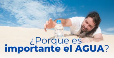 la importancia del agua